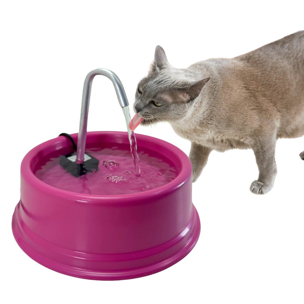 Fonte Bebedouro Para Gatos E Cães Automático 1,2 Litros Bivolt