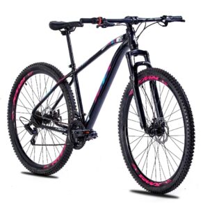 KIT BICICLETA BIKE MTB AÇO CARBONO RWX ARO 29 21V - FREIO A DISCO - TAM. 17.