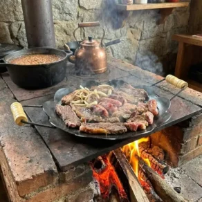 Disco de Arado Tacho Arredondada Bifeteira Grande Aço 41Cm