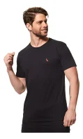 D_NQ_NP_2X_649560-MLB77566874337_072024-F-camiseta-masculina-basica-pica-pau-reserva