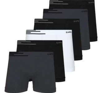 D_NQ_NP_2X_765086-MLB83174427421_032025-F-kit-6-cuecas-boxer-lupo-microfibra-sem-costura-box-original