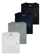 D_NQ_NP_2X_840122-MLB86158337698_062025-F-kit-4-camisetas-esportivas-polo-wear-sortido