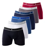 D_NQ_NP_2X_969407-MLB82247277315_022025-F-kit-com-10-cuecas-boxer-masculina-microfibra-original