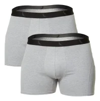 D_NQ_NP_2X_989378-MLB82740275042_032025-F-kit-2-cuecas-boxer-masculina-monocromatico-ii-reserva